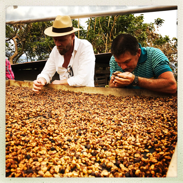 Great Coffee Trip to Costa Rica