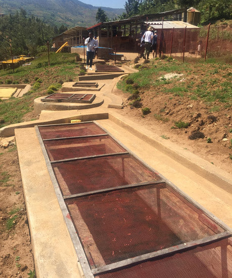 #30 Rwanda, Gishyita