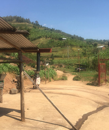 #30 Rwanda, Gishyita – Stillers Coffee